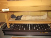 IMG_2706.jpg, 26kB